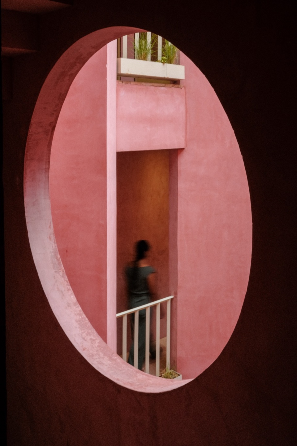 laiva plaza by ra