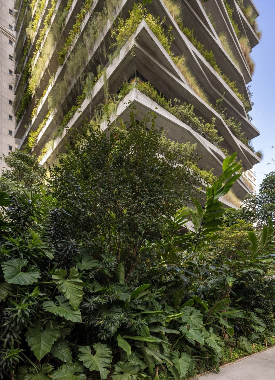 Leopoldo 1201 Building Landscaping by aflalo gasperini arquitetos