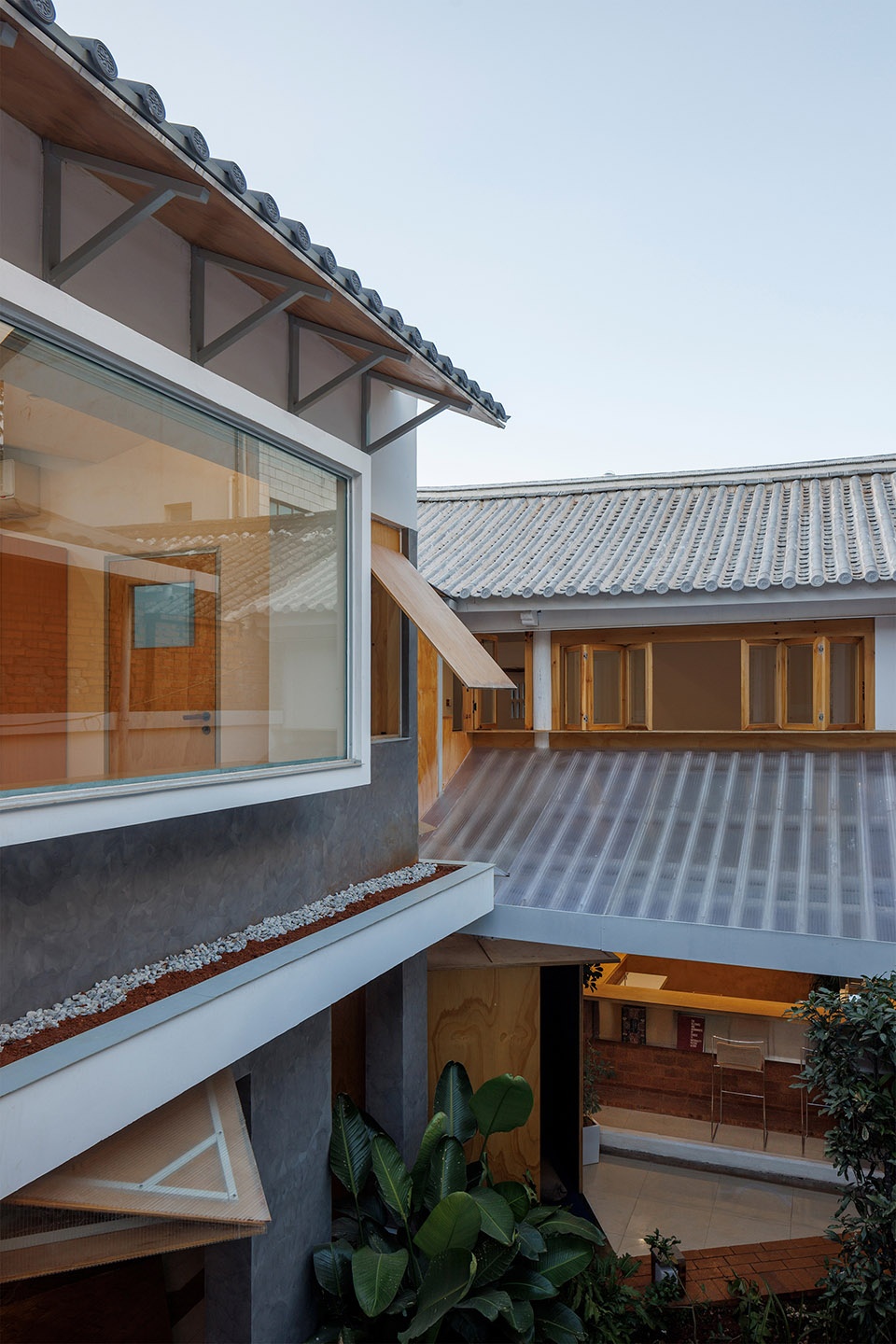 vigorous blooms courtyard by edge architects