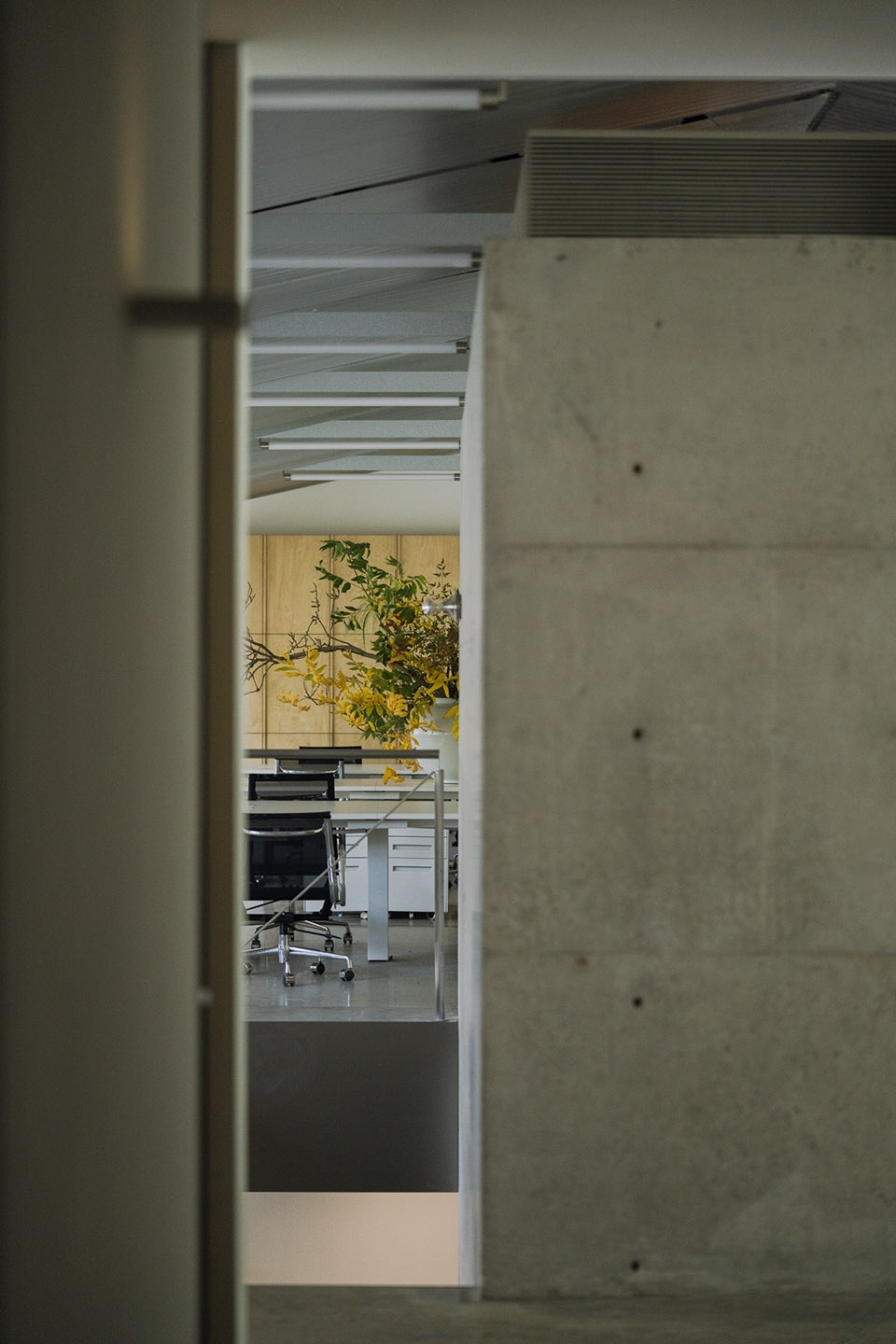 dcd design office by dcd design