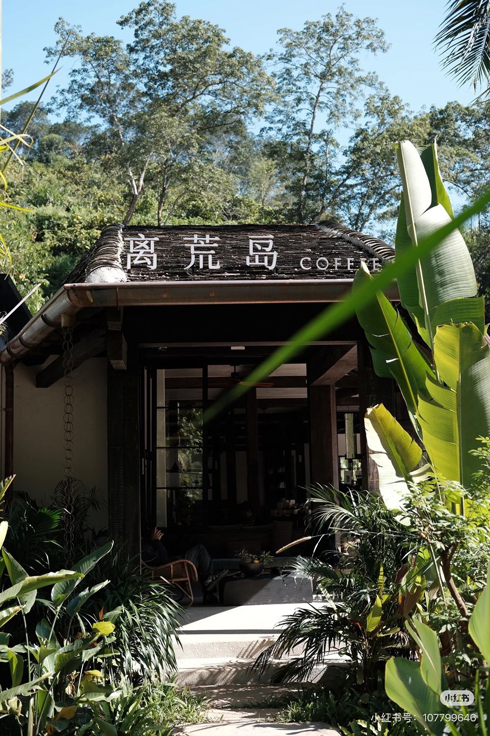 Remote Island COFFEE Rainforest Hostel