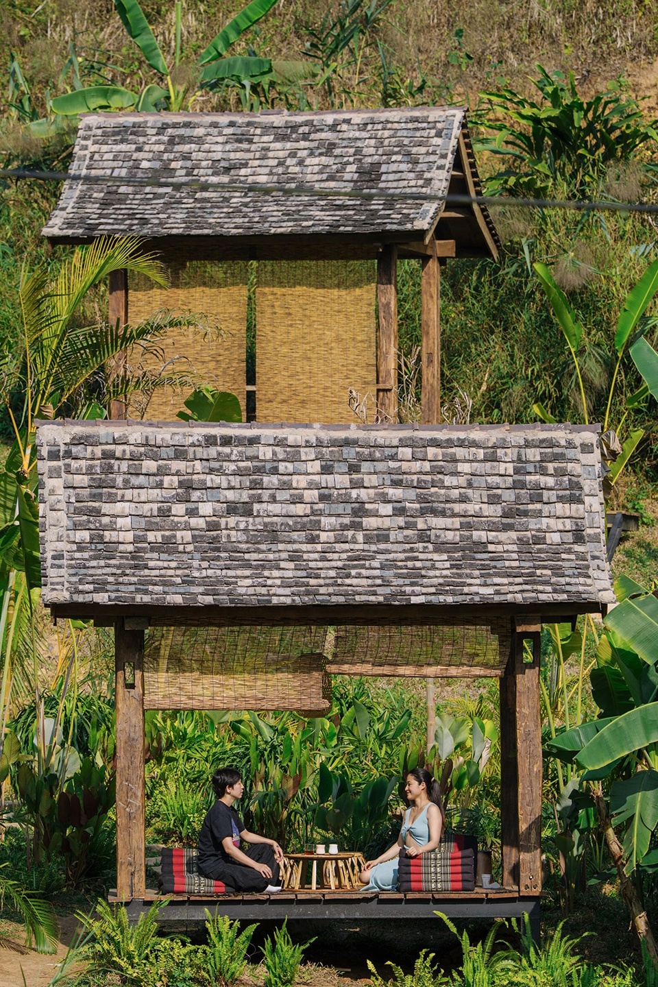 Remote Island COFFEE Rainforest Hostel