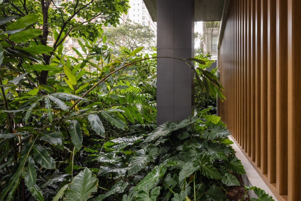 Leopoldo 1201 Building Landscaping by aflalo gasperini arquitetos