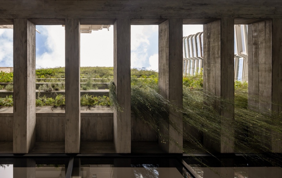 Leopoldo 1201 Building Landscaping by aflalo gasperini arquitetos