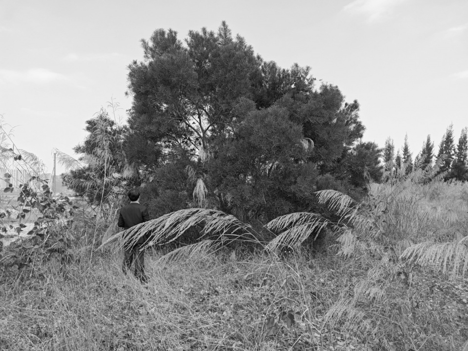 Landscape Design of the First Opening Area of the Double Happiness Island Sports Cluster by Yudao Studio