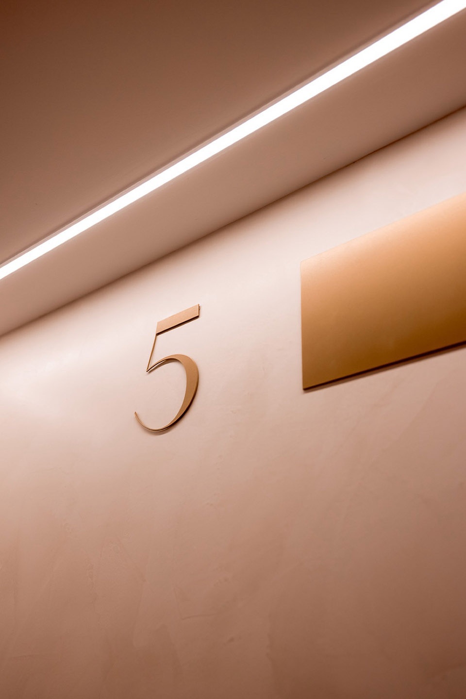 CAIS 5 by Contacto Atlantico