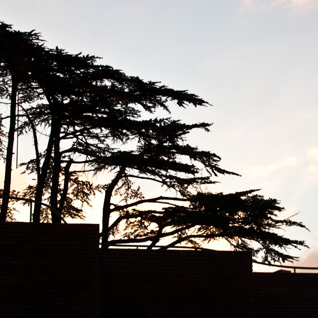 Además arquitectura