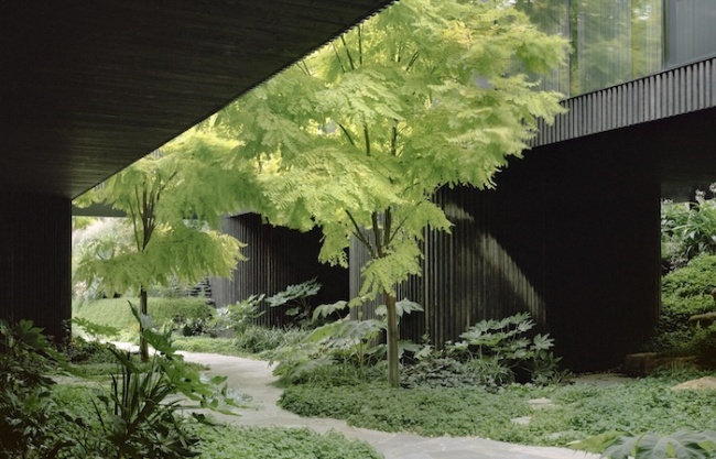 House in a Garden by Edition Office