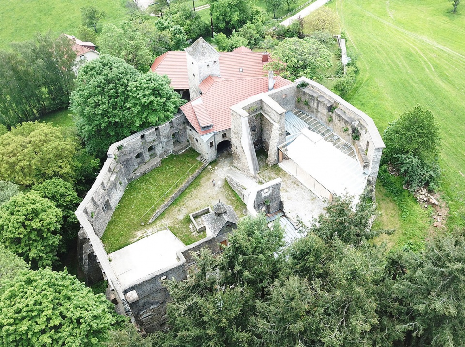 Reichenau Castle Ruin