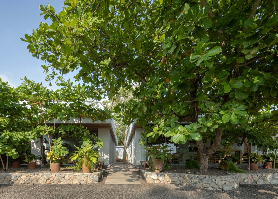 cuattro casa de cafe by faci leboreiro