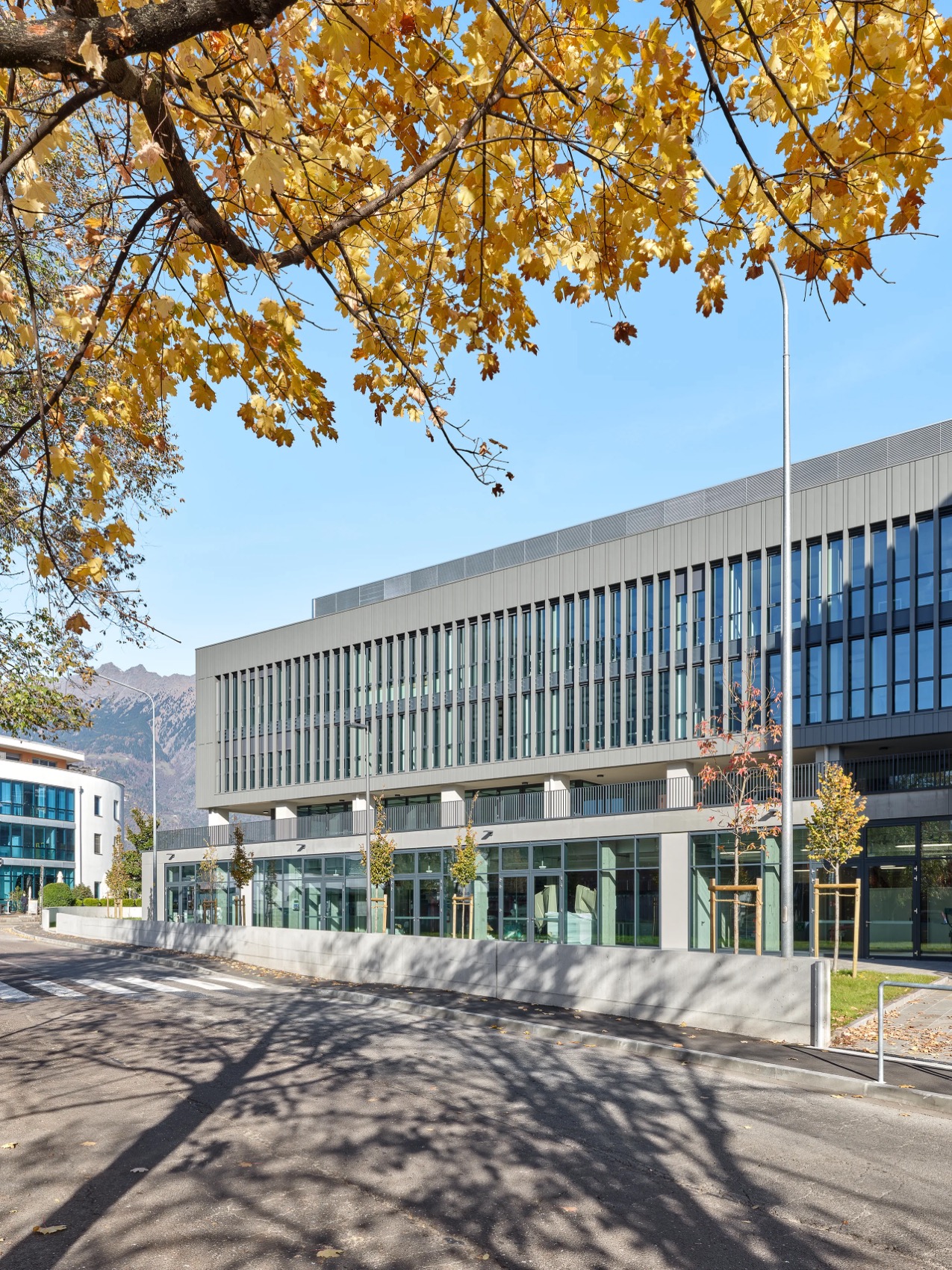 Marconi Levinas school