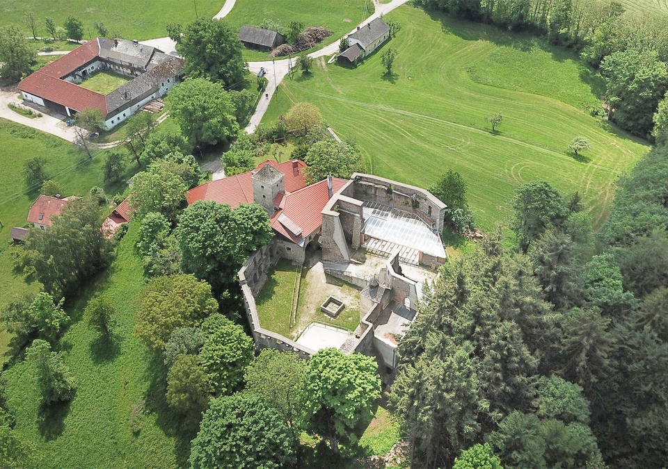 Reichenau Castle Ruin