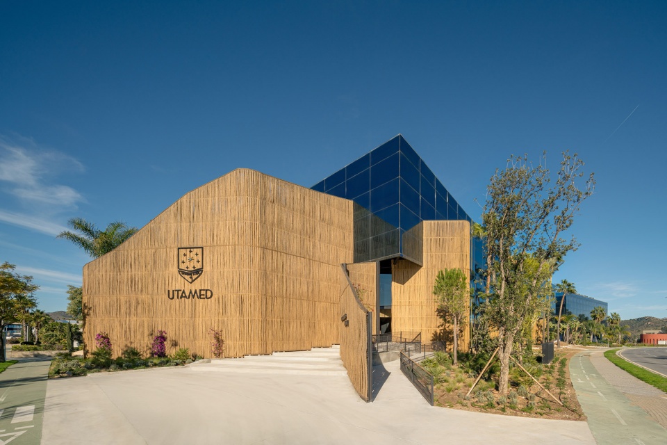 esparto grass and architecture at the new utamed campus by flow 81