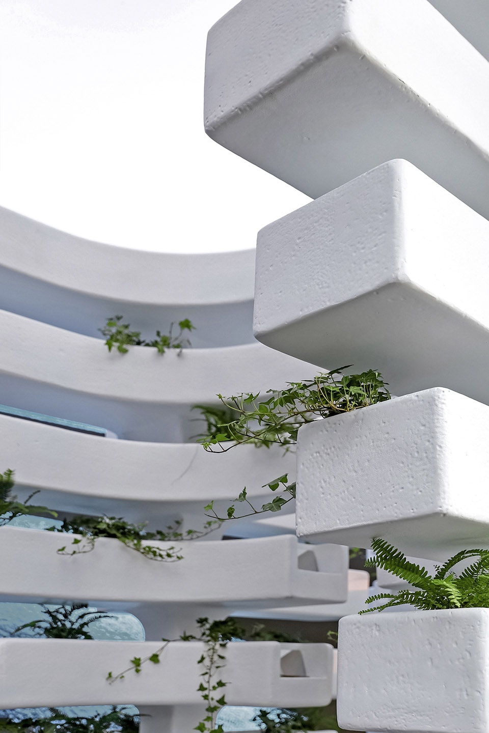 the living spine by mat office