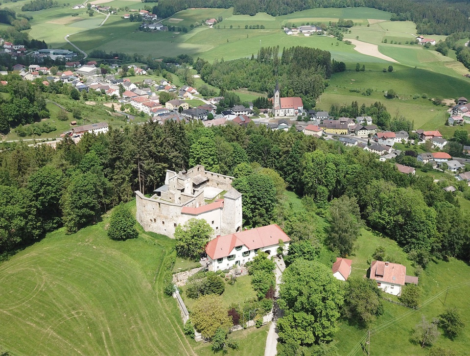 Reichenau Castle Ruin