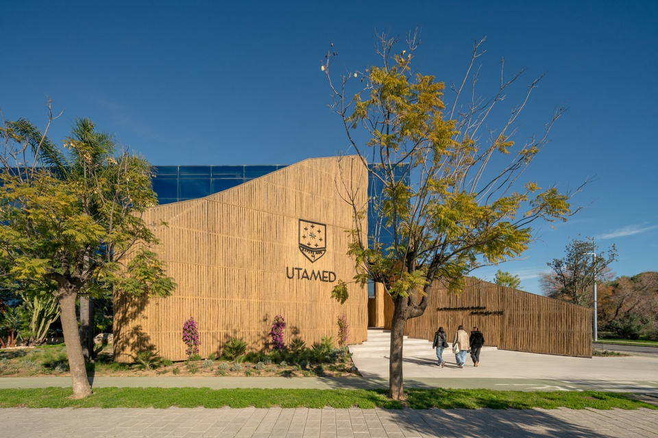 esparto grass and architecture at the new utamed campus by flow 81