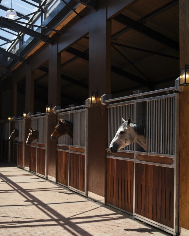 hara seher by equine design studio