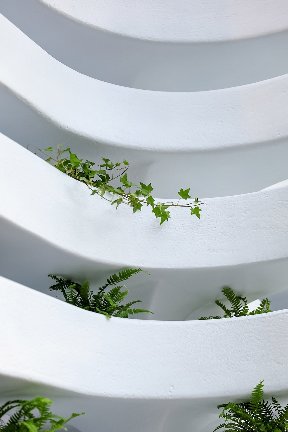 the living spine by mat office