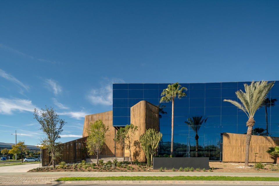 esparto grass and architecture at the new utamed campus by flow 81