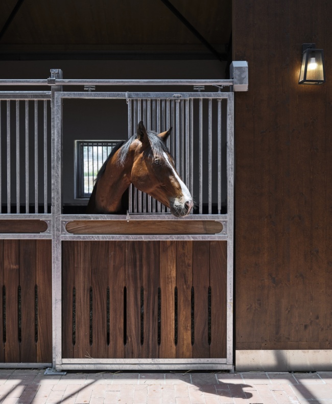 hara seher by equine design studio