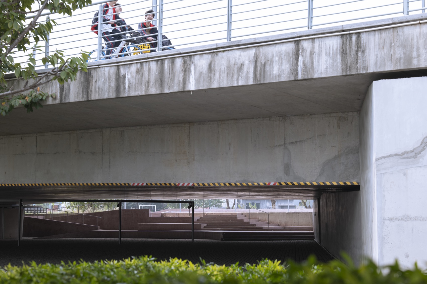 Arena Under Bridge