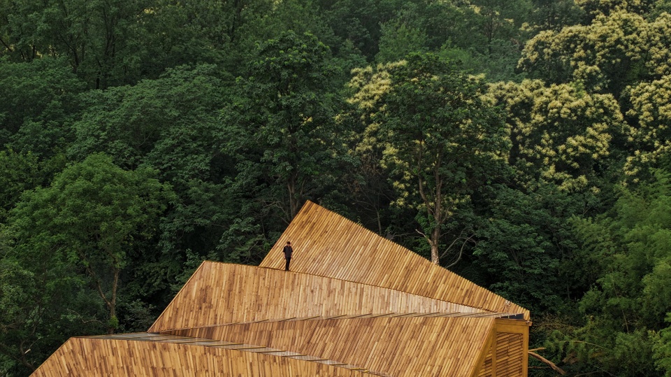 carpenters home by primary architects