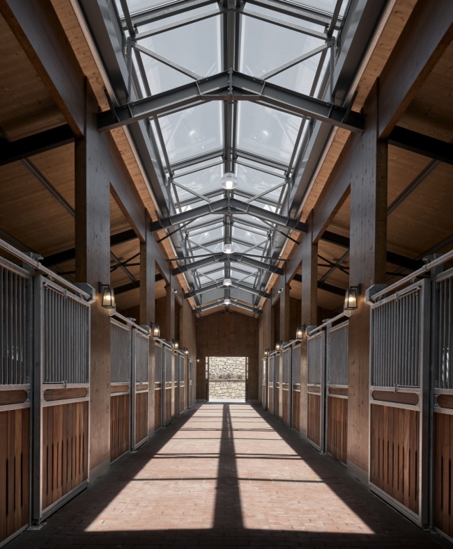 hara seher by equine design studio