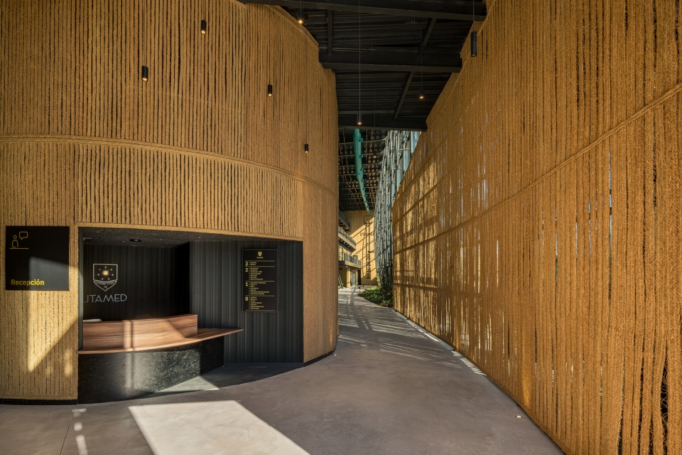 esparto grass and architecture at the new utamed campus by flow 81