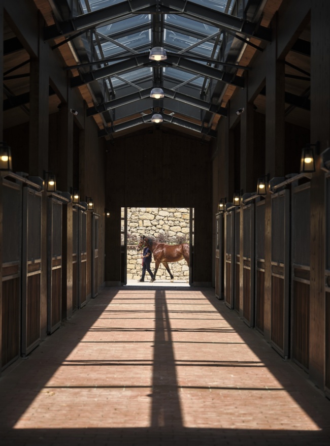 hara seher by equine design studio