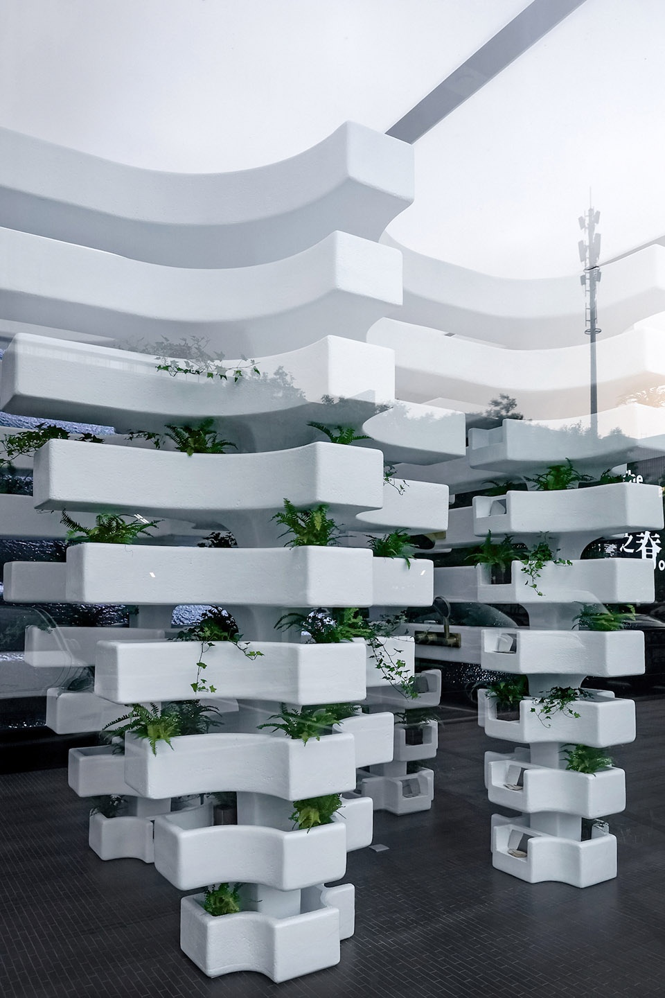 the living spine by mat office