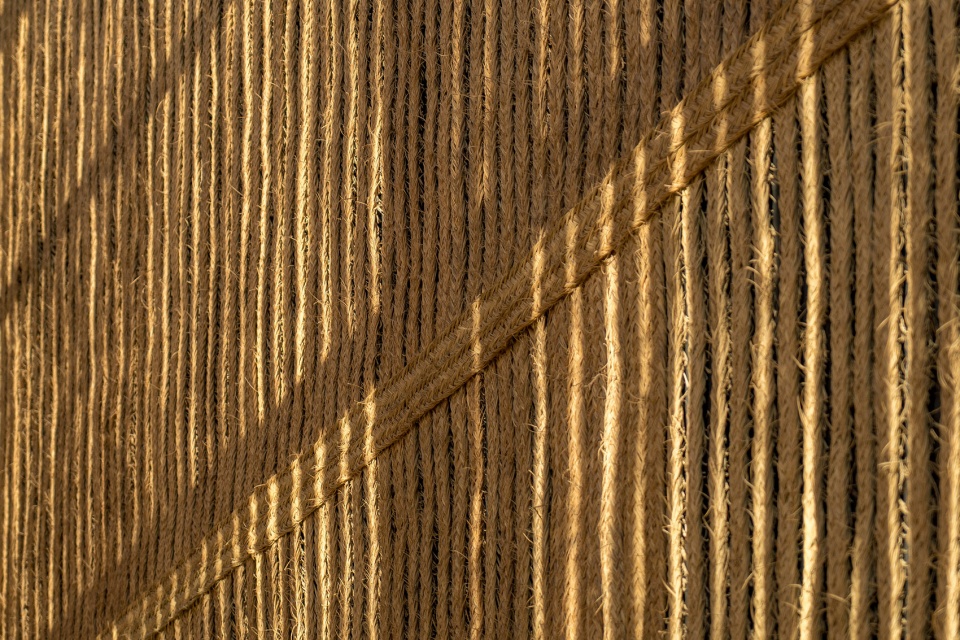 esparto grass and architecture at the new utamed campus by flow 81