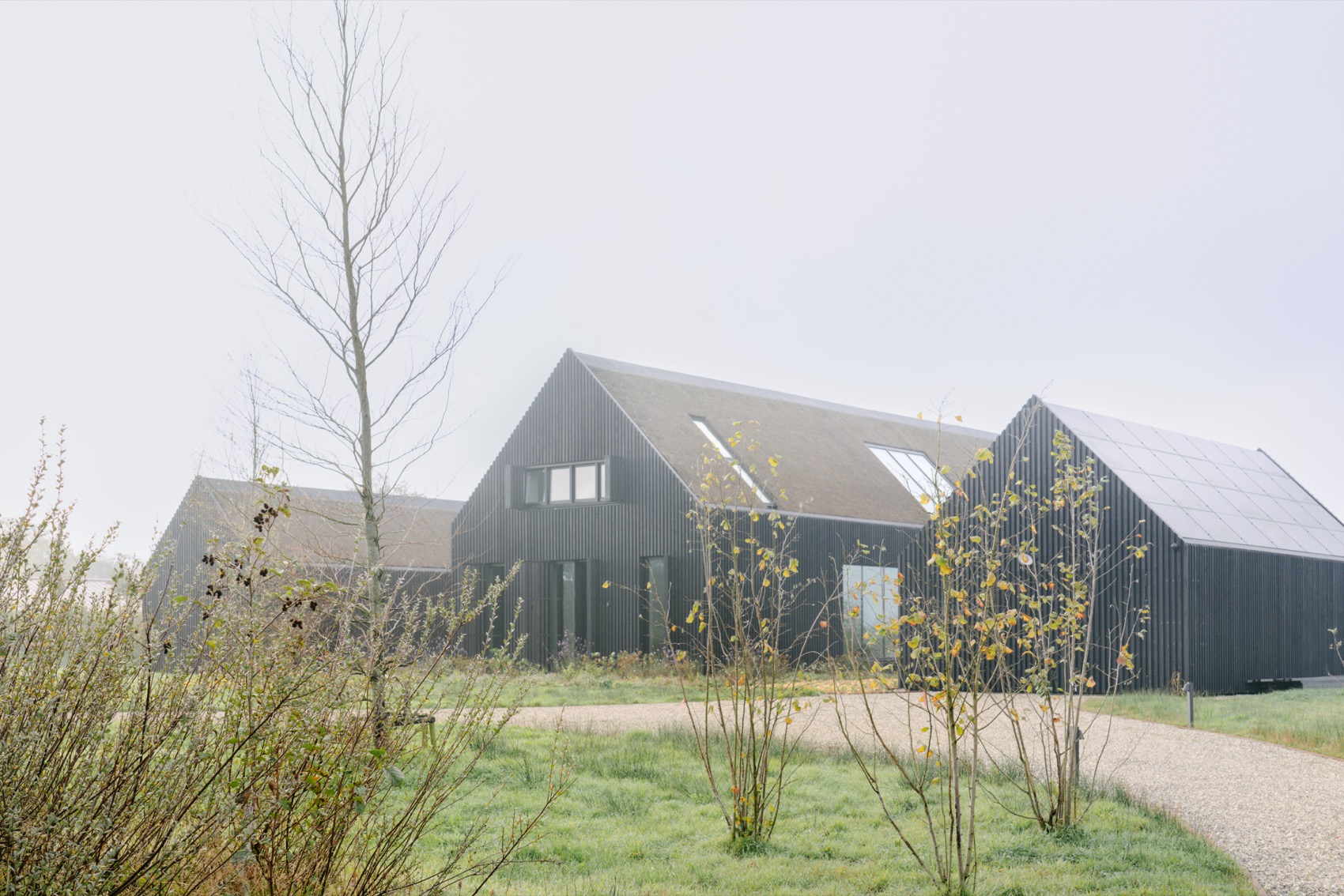 Black Barns