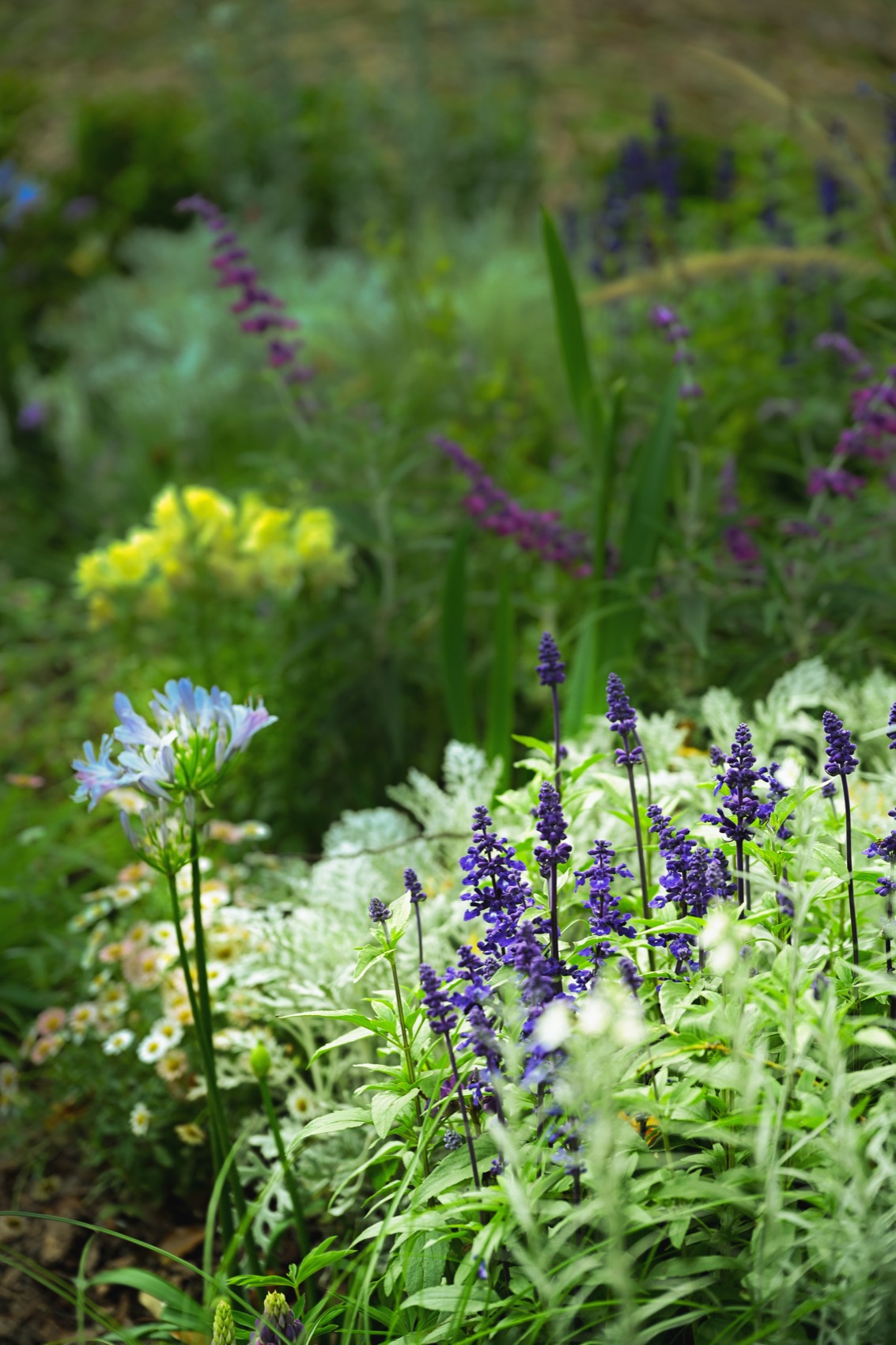 Feast Garden