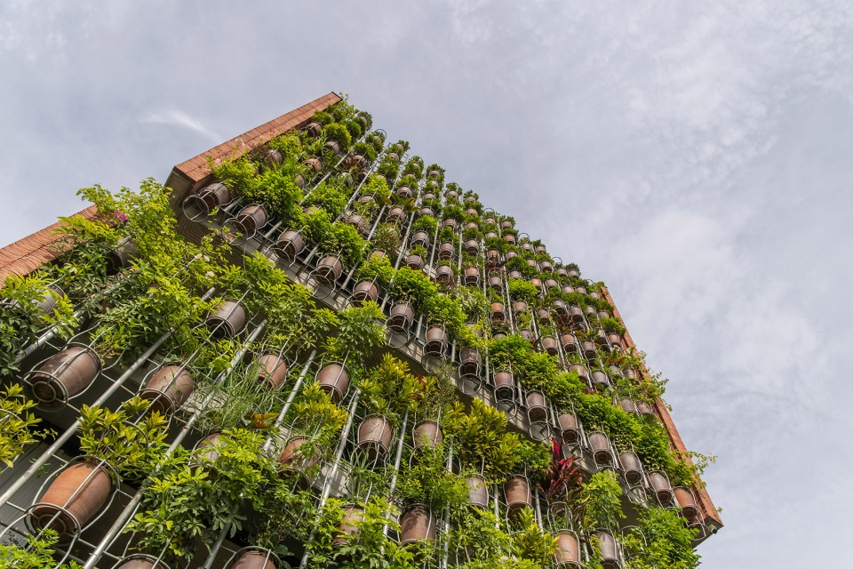 Flying Vegetation