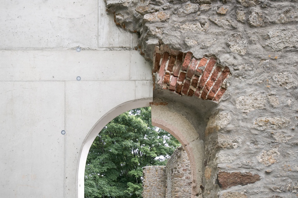 Reichenau Castle Ruin