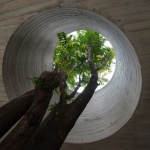 希音咖啡·感官研究社，云南保山 / 拾号建筑
