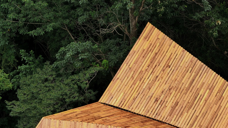 carpenters home by primary architects