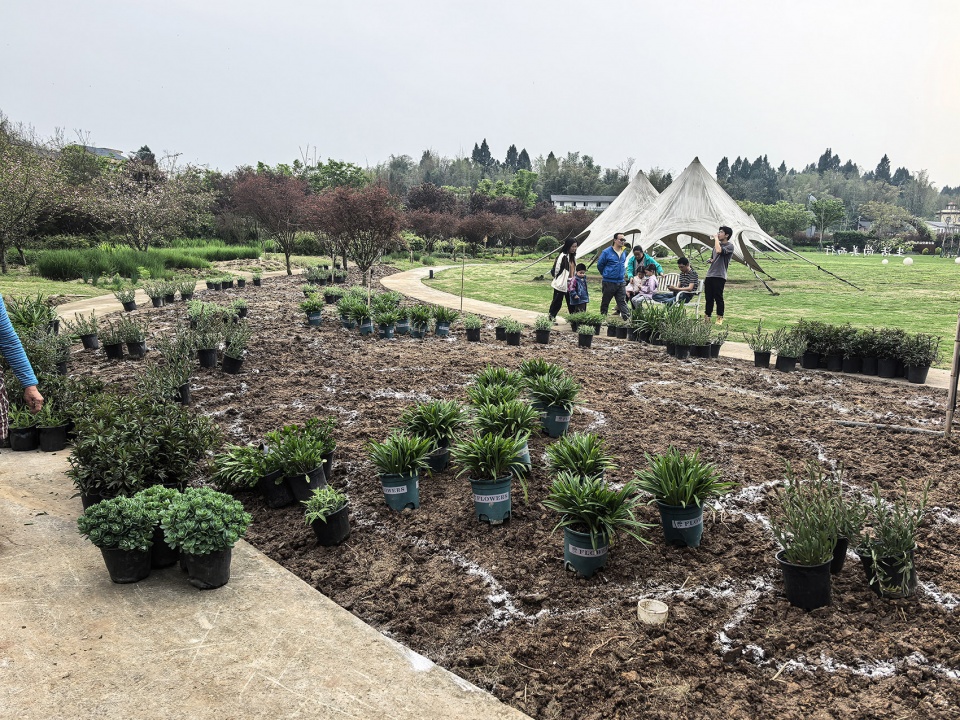 chongqing luxerivers green heart park by chongqing tianhua horticulture