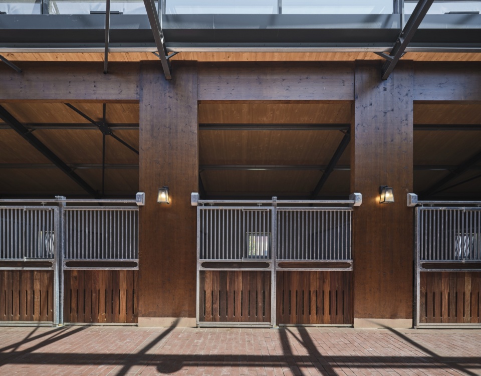 hara seher by equine design studio