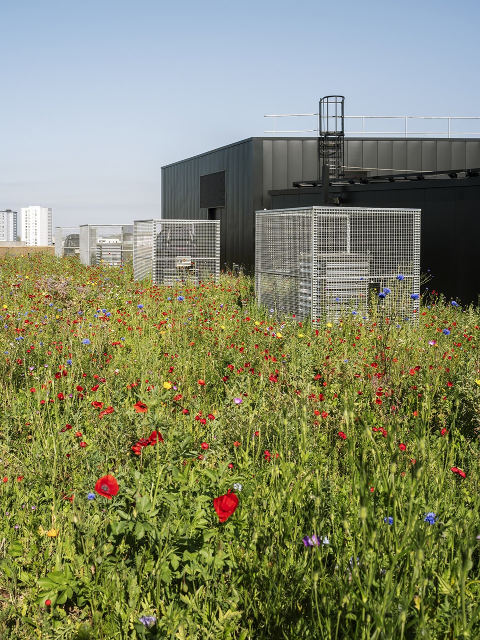 maison de linnovation office by baumschlager eberle architekten
