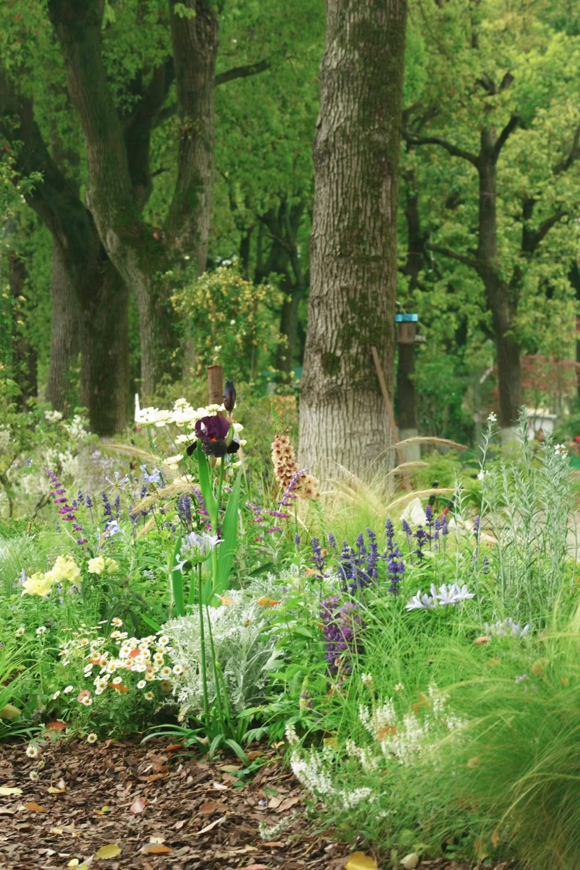 Feast Garden