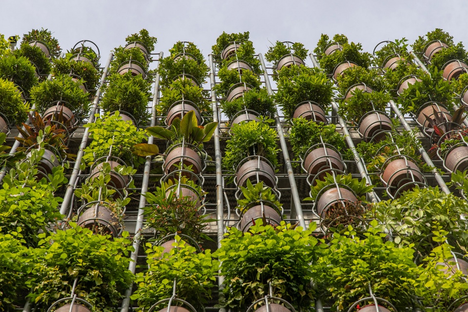 Flying Vegetation