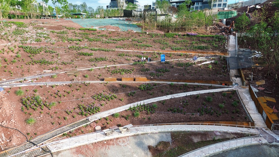 chongqing luxerivers green heart park by chongqing tianhua horticulture