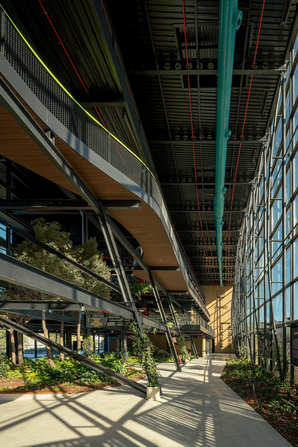 esparto grass and architecture at the new utamed campus by flow 81