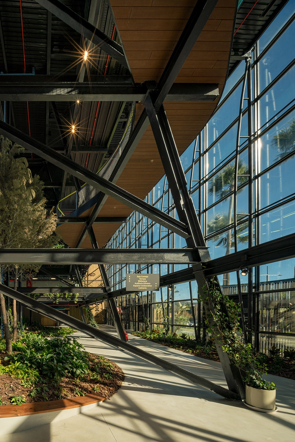 esparto grass and architecture at the new utamed campus by flow 81