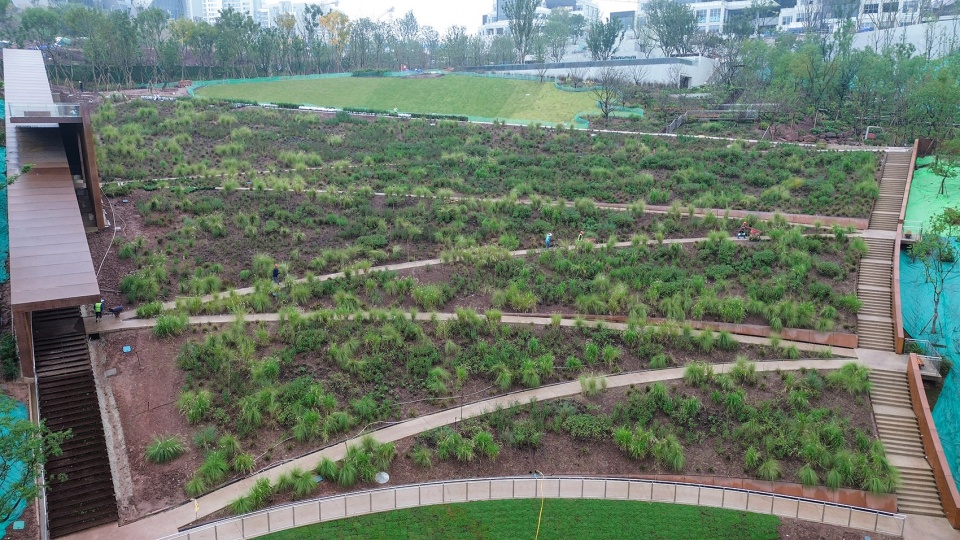chongqing luxerivers green heart park by chongqing tianhua horticulture