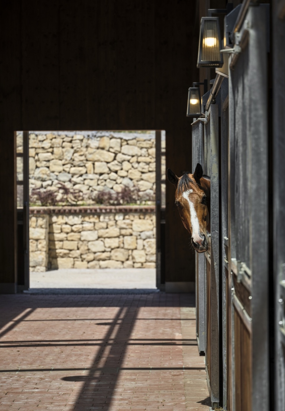 hara seher by equine design studio
