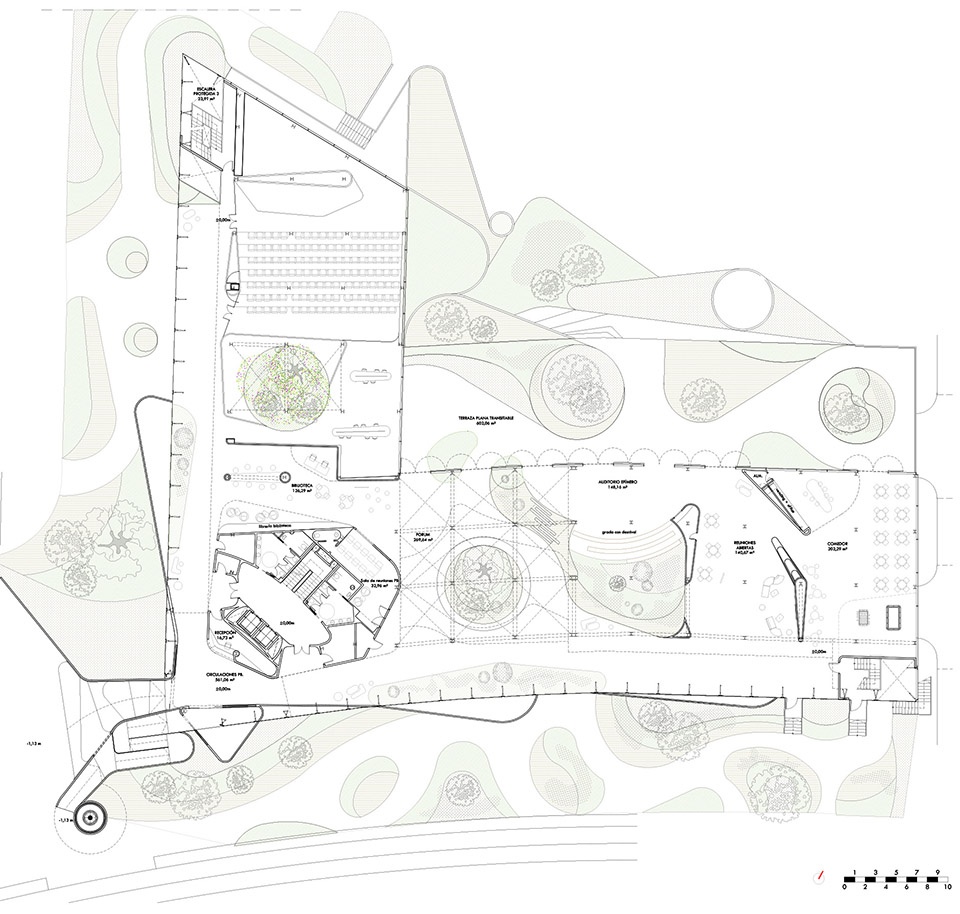 esparto grass and architecture at the new utamed campus by flow 81