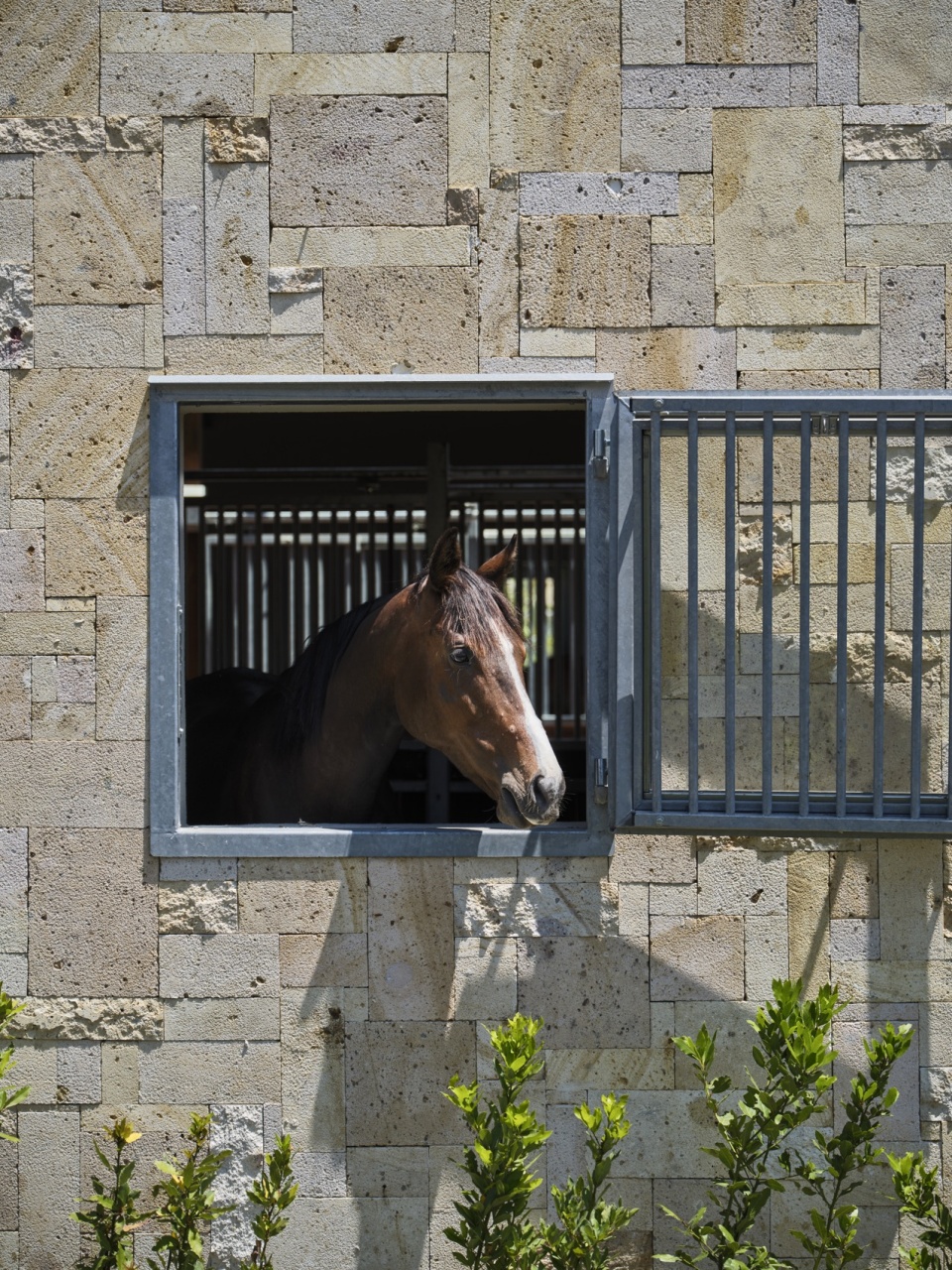hara seher by equine design studio