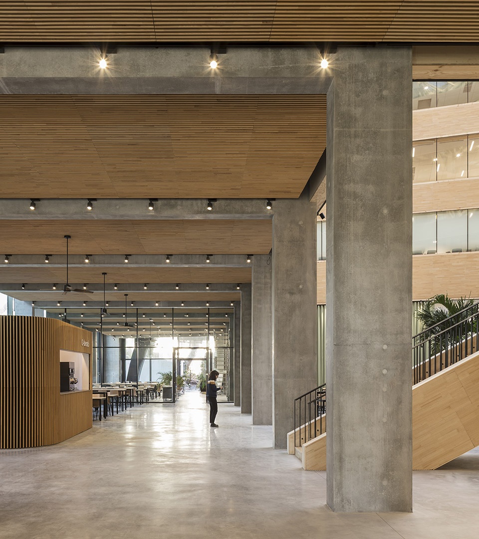 maison de linnovation office by baumschlager eberle architekten